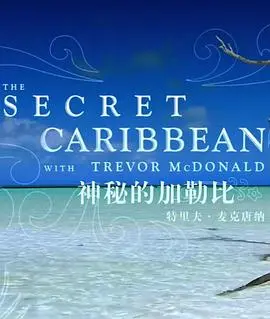 《神秘的加勒比》：深邃海域下的惊涛骇浪，一场关乎遗失文明与宿命的史诗冒险